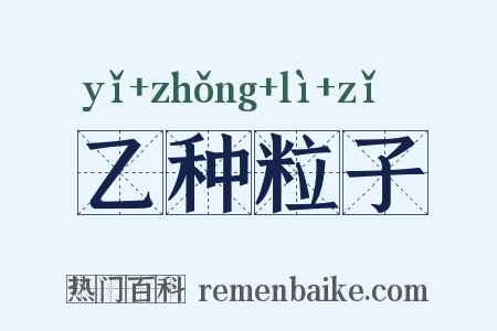 乙种粒子是什么意思的图片